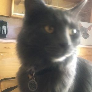 Meet your Posher, Cecilia